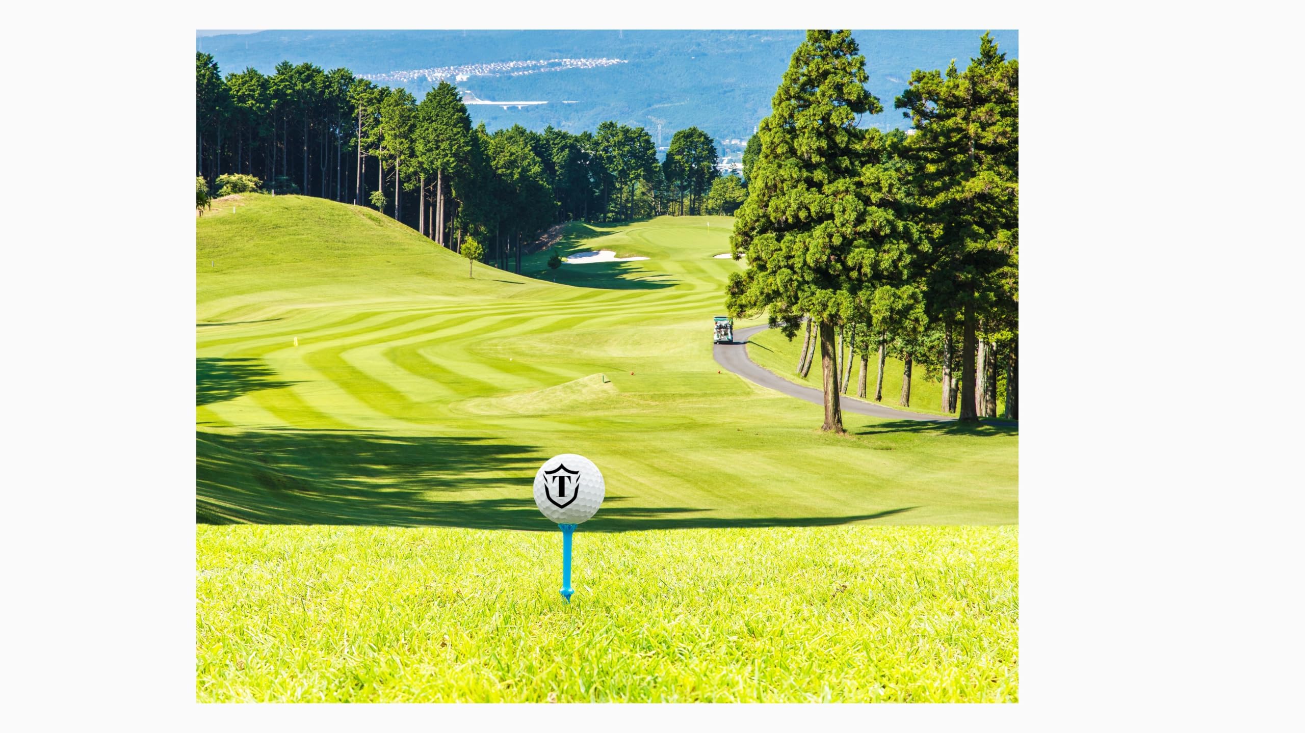 Personalized Golf Balls, Initial Golf Balls Beautiful Designs. Multiple Designs Monogrammed Golf Gifts & Accessories. Includes Balls,Towel,Divot. Pick Yours 12each