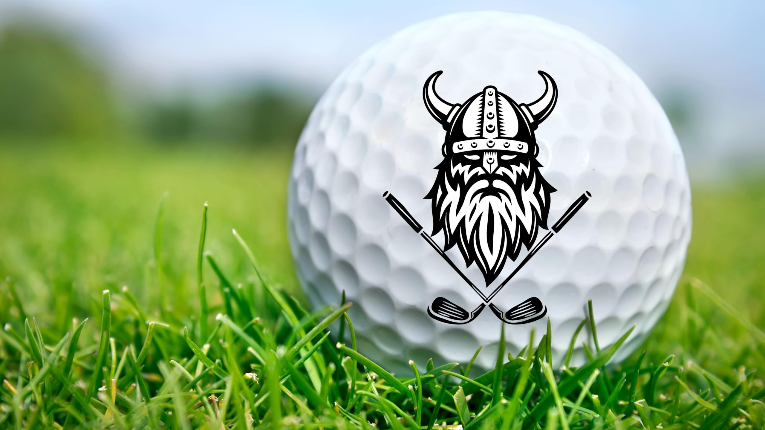Golf Balls - Viking Golf Balls, Beautiful Designs. Multiple Designs Golf Ball for Gifts & Accessories. Includes Balls,Towel,Divot. Pick Yours 12each