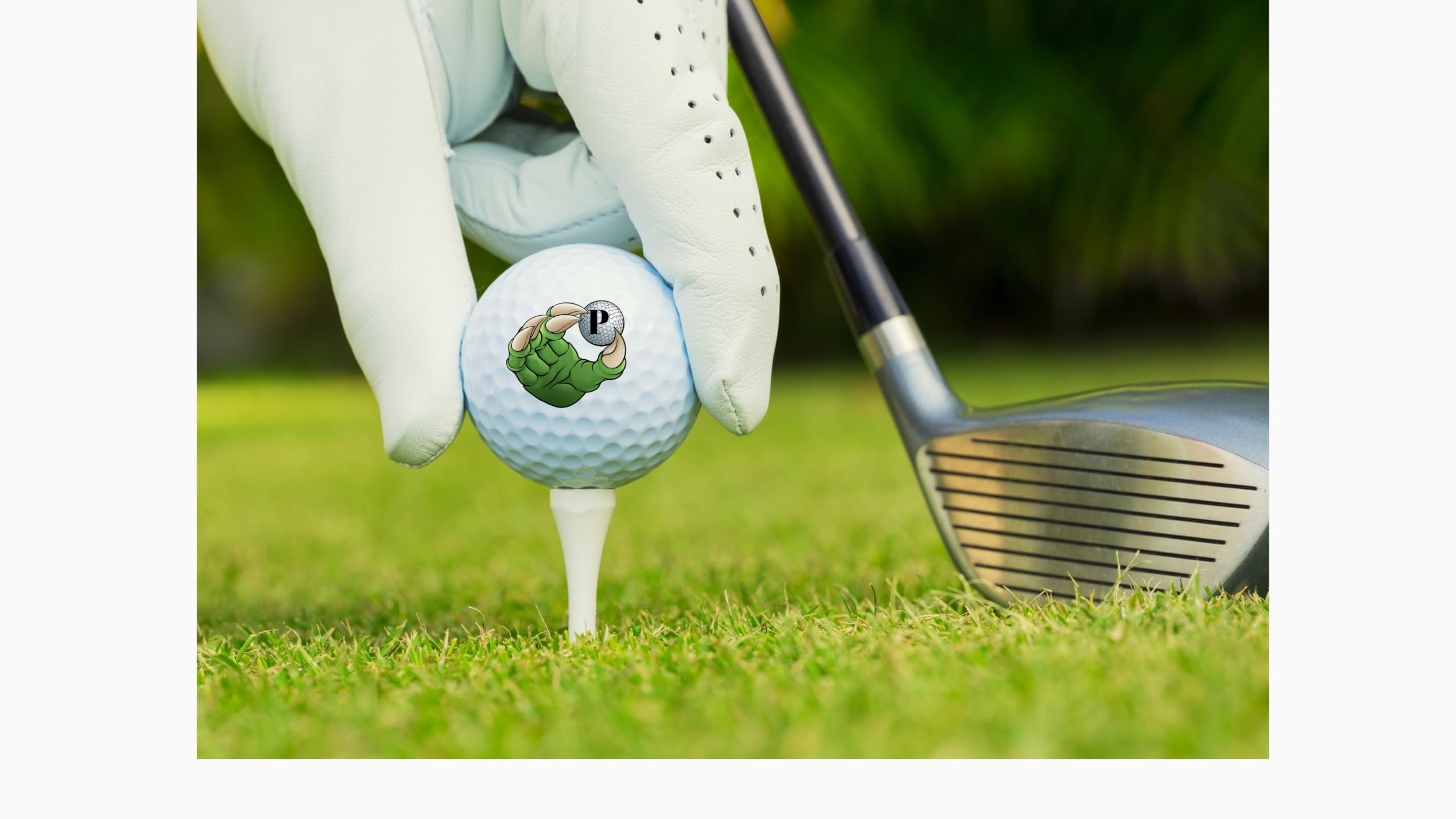 Golf Balls, Initial Golf Balls Beautiful Designs. Multiple Designs Monogrammed Golf Gifts & Accessories. Includes Balls,Towel,Divot. Pick Yours 12each (Initial, Longhorn)